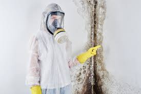 Best Emergency Mold Remediation  in Wesley Chapel, FL